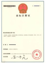 中山商標(biāo)注冊(cè)服務(wù) 金維知識(shí)產(chǎn)權(quán)專業(yè)護(hù)航企業(yè)品牌發(fā)展
